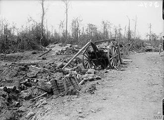 Mametz Wood, July 1916