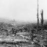 Remains of Beaumont Hamel